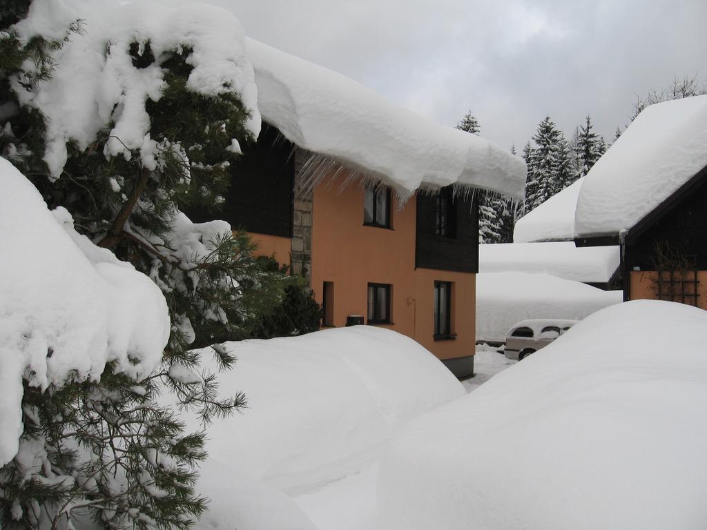 Ubytovani V Soukromi Razlovi Harrachov Exterior foto